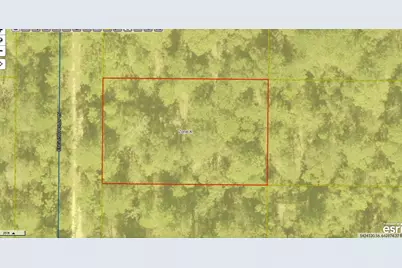 Lot 10 Blk 20 English Holly Lane, Defuniak Springs, FL 32433 - Photo 6
