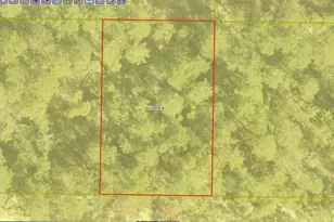 Lot 12 Blk 83 Snapdragon East St, Defuniak Springs, FL 32433 - Photo 2