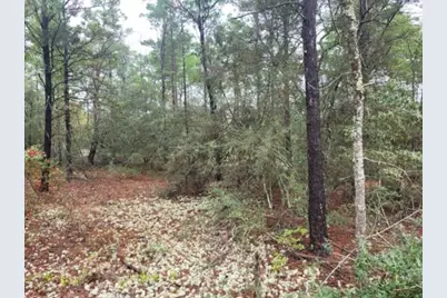 Lot 12 Blk 83 Snapdragon East Street, Defuniak Springs, FL 32433 - Photo 4