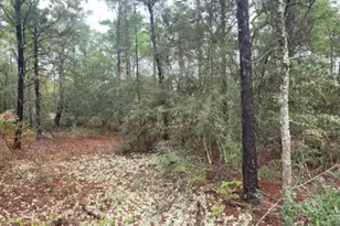 Lot 12 Blk 83 Snapdragon East St, Defuniak Springs, FL 32433 - Photo 4