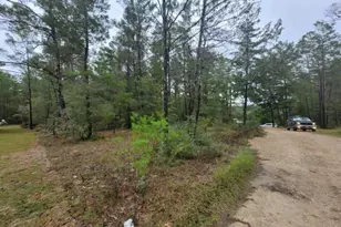 Lot 2 Blk 101 E Bluebottle Ct, Defuniak Springs, FL 32433 - Photo 1