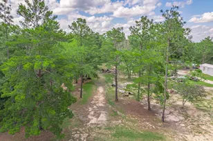 6291 Coy Burgess Loop, Defuniak Springs, FL 32435 - Photo 12