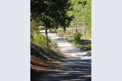 6291 Coy Burgess Loop, Defuniak Springs, FL 32435 - Photo 20