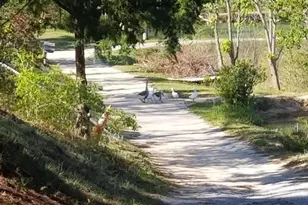 6291 Coy Burgess Loop, Defuniak Springs, FL 32435 - Photo 20