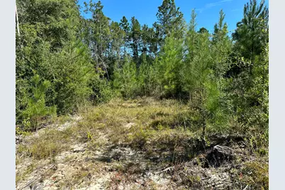 Parcel A Millside Road #<, Laurel Hill, FL 32567 - Photo 12