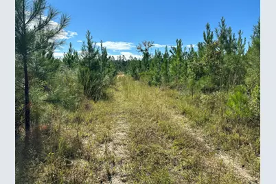 Parcel A Millside Road #<, Laurel Hill, FL 32567 - Photo 2