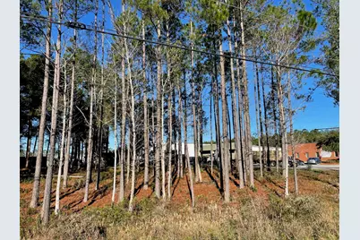 1.1 Acres US Highway 331 South, Freeport, FL 32439 - Photo 6