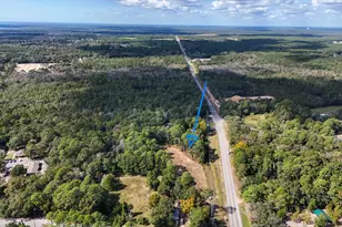 1 91 Acres W St Hwy 20 W, Freeport, FL 32439 - Photo 12