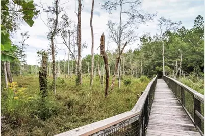 446 Mango Lane, Freeport, FL 32439 - Photo 70