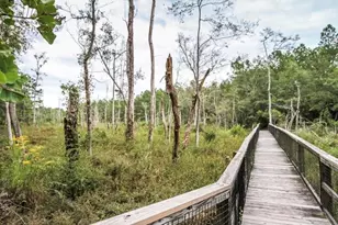 446 Mango Ln, Freeport, FL 32439 - Photo 70