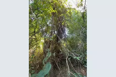 986 Harris Avenue, Panama City, FL 32401 - Photo 4