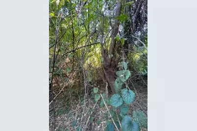 986 Harris Avenue, Panama City, FL 32401 - Photo 6