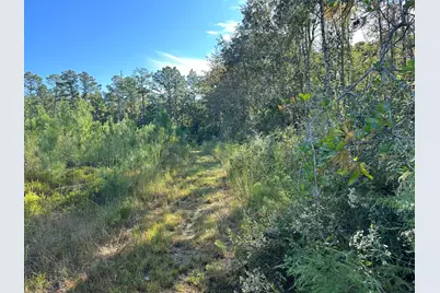Parcel L Buck Tyner Road, Laurel Hill, FL 32567 - Photo 4