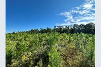 Parcel L Buck Tyner Road, Laurel Hill, FL 32567 - Photo 14