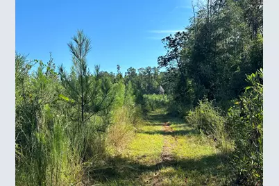 Parcel L Buck Tyner Road, Laurel Hill, FL 32567 - Photo 2