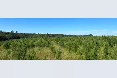 Parcel L Buck Tyner Road, Laurel Hill, FL 32567 - Photo 10