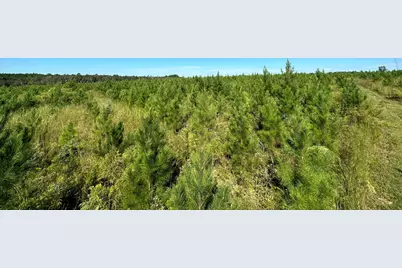 Parcel L Buck Tyner Road, Laurel Hill, FL 32567 - Photo 20