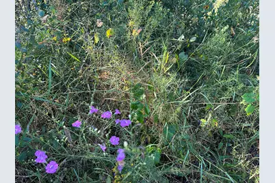 Parcel K&l Buck Tyner Road, Laurel Hill, FL 32567 - Photo 4