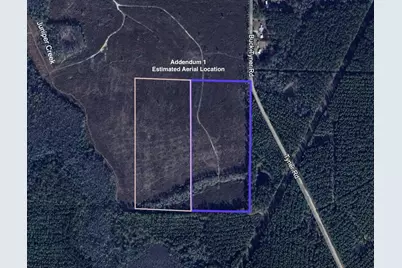 Parcel K&l Buck Tyner Road, Laurel Hill, FL 32567 - Photo 1