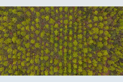 40 Acres Brooklyn Drive, Defuniak Springs, FL 32433 - Photo 26