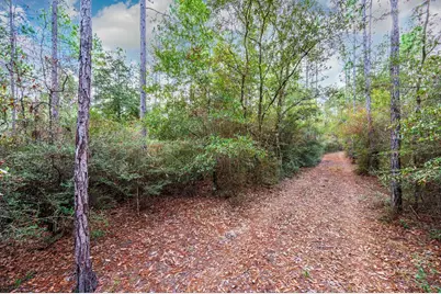 40 Acres Brooklyn Drive, Defuniak Springs, FL 32433 - Photo 10