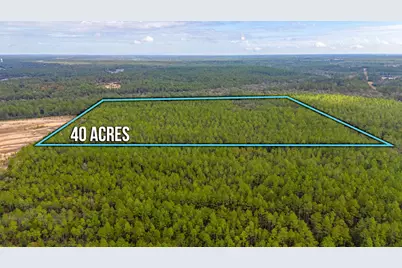 40 Acres Brooklyn Drive, Defuniak Springs, FL 32433 - Photo 16