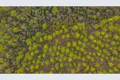 40 Acres Brooklyn Drive, Defuniak Springs, FL 32433 - Photo 22