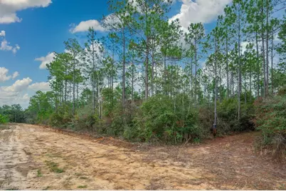 40 Acres Brooklyn Drive, Defuniak Springs, FL 32433 - Photo 14