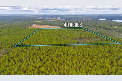 40 Acres Brooklyn Drive, Defuniak Springs, FL 32433 - Photo 18