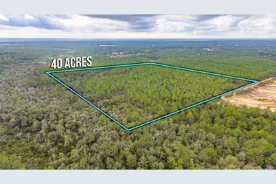 40 Acres Brooklyn Drive, Defuniak Springs, FL 32433 - Photo 20