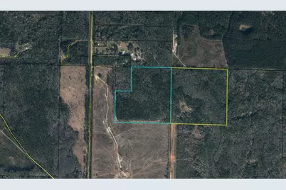 75 Acres N Highway 81 N, Ponce de Leon, FL 32455 - Photo 1