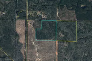 75 Acres N Hwy 81 N, Ponce de Leon, FL 32455 - Photo 1