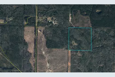 75 Acres N Highway 81 N, Ponce de Leon, FL 32455 - Photo 2