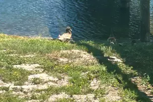 4000 Gulf Terrace Dr, Destin, FL 32541 - Photo 32