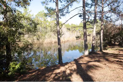 407 Calle Escada, Santa Rosa Beach, FL 32459 - Photo 4