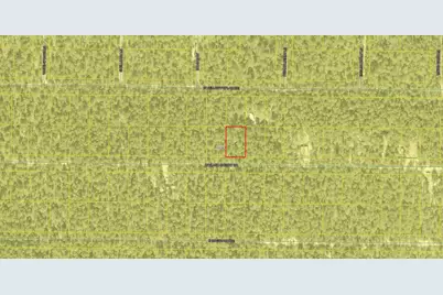 Lot 45 W Black Cherry Drive W, Defuniak Springs, FL 32433 - Photo 4