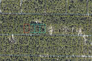 Lot 46 W Black Cherry Dr W, Defuniak Springs, FL 32433 - Photo 1