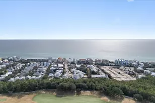 103 Pelican Glide Ln, Inlet Beach, FL 32461 - Photo 88