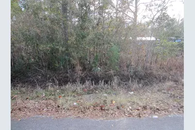 Lot 4 Park Road, Freeport, FL 32439 - Photo 1