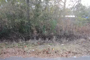 Lot 4 Park Rd, Freeport, FL 32439 - Photo 1