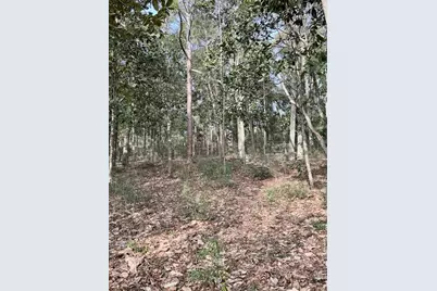 .69Ac Kirby Lane, Defuniak Springs, FL 32433 - Photo 4