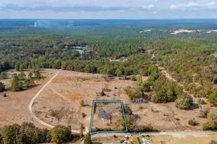 3030 Cosson Cir, Crestview, FL 32536 - Photo 26