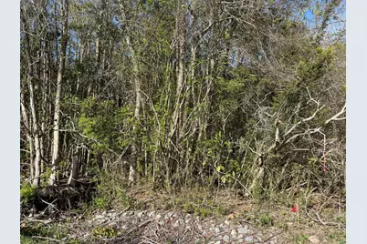 Lot 8 Marsh Drive, Freeport, FL 32439 - Photo 22