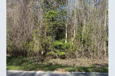 Lot 8 Marsh Drive, Freeport, FL 32439 - Photo 6