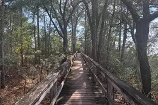 Lot 76 Harbour Trace, Freeport, FL 32439 - Photo 6