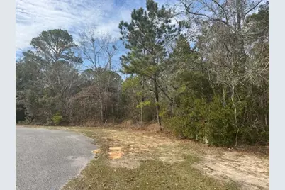 Lot 76 Harbour Trace, Freeport, FL 32439 - Photo 4