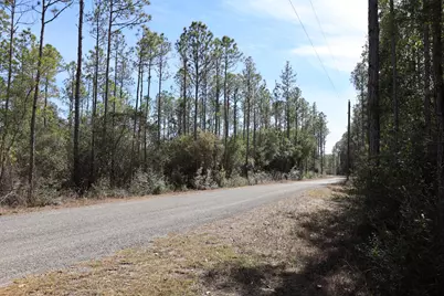 3 Acres Antioch Cemetery Road, Ponce de Leon, FL 32455 - Photo 10