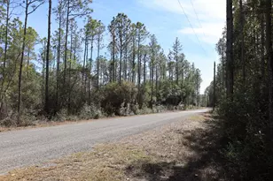 3 Acres Antioch Cemetery Rd, Ponce de Leon, FL 32455 - Photo 10