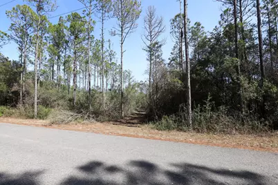 3 Acres Antioch Cemetery Road, Ponce de Leon, FL 32455 - Photo 8