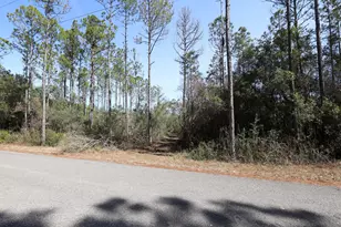 3 Acres Antioch Cemetery Rd, Ponce de Leon, FL 32455 - Photo 8